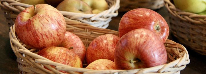 Obst Obst