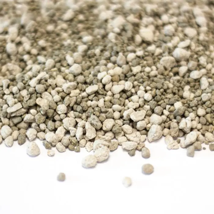 Sedum Stronger (schnell Dnger)