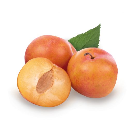 1392