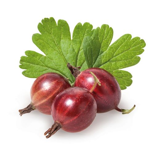 1320